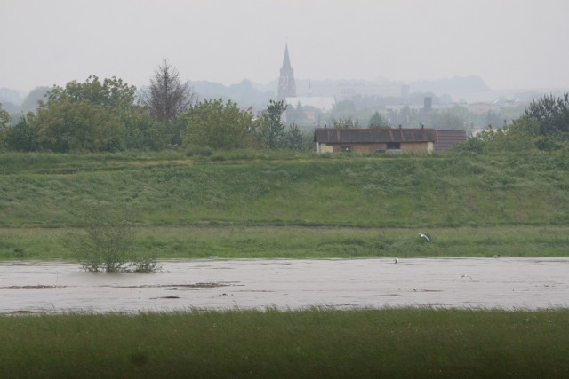 Odra w Raciborzu przekroczyła stany alarmowe