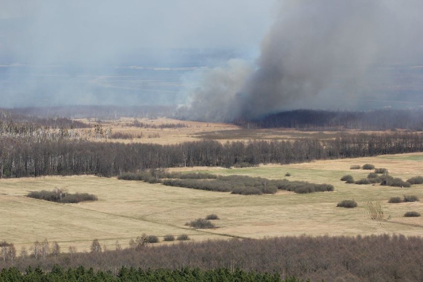 Bielska firma Helipoland gasiła pożar Biebrzańskiego Parku Narodowego. Zobacz ZDJĘCIA