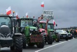 Blokady rolników w Lubuskiem 13 marca? Decyzja o protestach w sobotę. Krosno Odrzańskie nie będzie blokowane