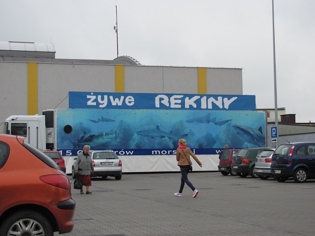 Rekiny przed Galerią Kupiecką Oczko w Myszkowie