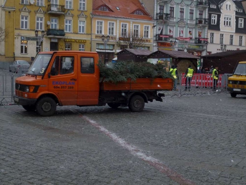 Było choinka, nie ma choinki