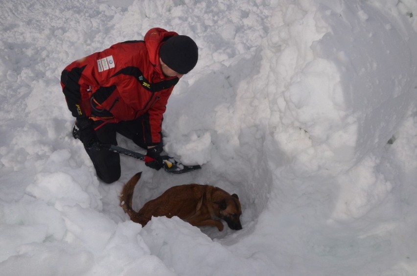 [GALERIA] Ratownicy TOPR ćwiczyli odkopywanie ludzi spod śniegu na stoku w Jurgowie