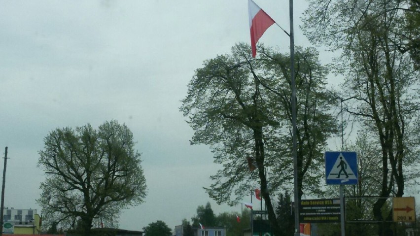 Żory: Flagi biało-czerwone powiewają w naszym mieście