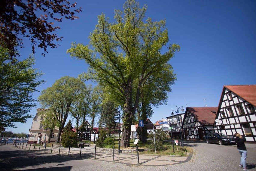 Ustka przymierza się do ogłoszenia przetargu na urządzenie...