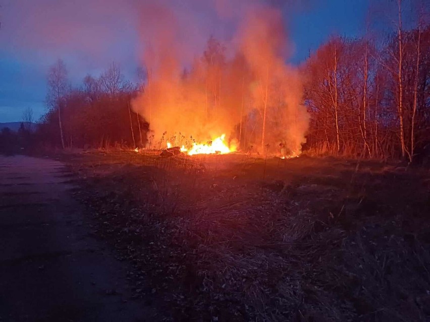 Pożar na Białym Kamieniu w Wałbrzychu tuż pod lasem