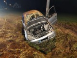 Wypadek w Radgoszczy. 17-latek bez prawa jazdy nie opanował mercedesa. Samochód wpadł do rowu, dwie osoby ranne [ZDJĘCIA]