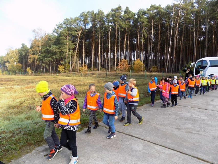 Wycieczka do Schroniska dla zwierząt w Nowym Dworze - 25 października 2019