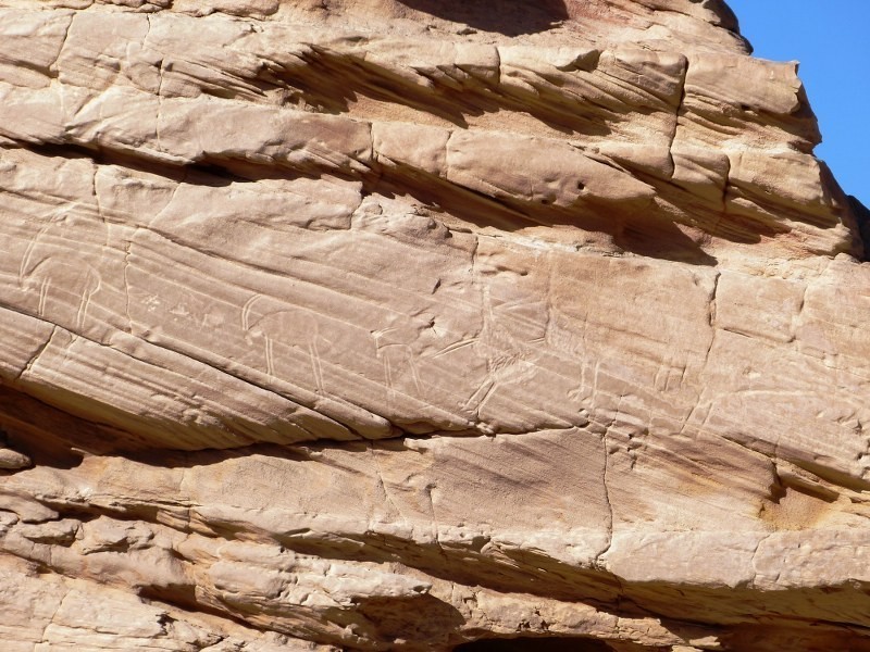 Petroglify z epoki kamienia przedstawiające zwierzęta,...