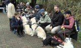 Sport dla psów i ich właścicieli. W Trzebnicy odbyły się zawody w DogTrekkingu