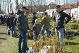 XIV Piotrkowskie Targi Ogrodnicze „Pamiętajmy o ogrodach” [FOTORELACJA]