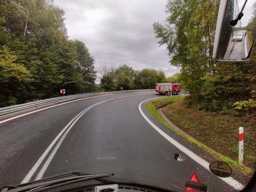 Bus wjechał do rowu. Strażacy przystąpili do akcji (ZDJĘCIA)