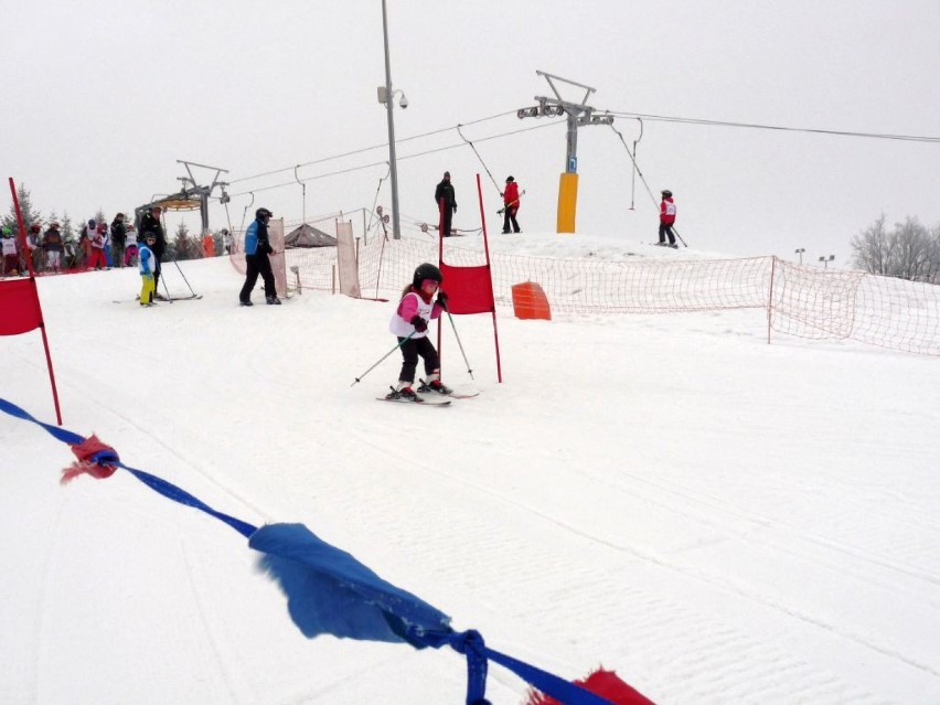 XX Mistrzostwa Polski w Narciarstwie Alpejskim i Snowboardzie Family Cup 2015 [ZDJĘCIA]
