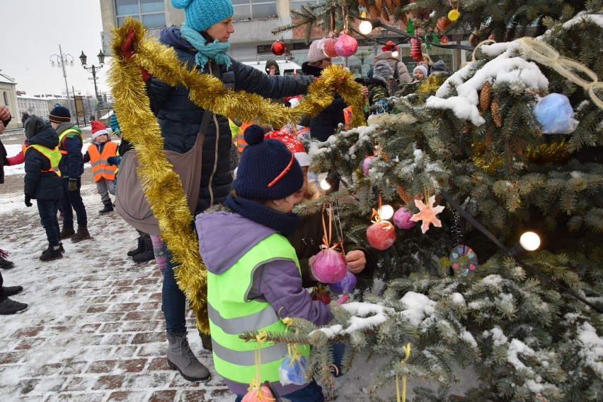 Ubierali choinkę na Starym Rynku ZDJĘCIA