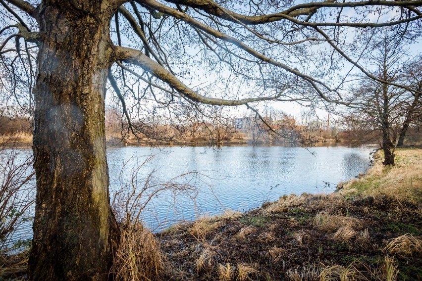 – Często jeździłam po okolicy i sama wyszukiwałam wyjątkowe...