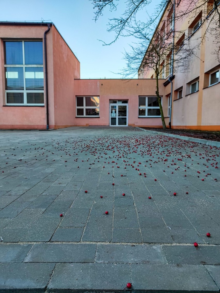 Kaliski Budżet Obywatelski. Dziedziniec Szkoły Podstawowej...