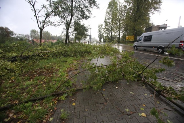 IMGW wydało ostrzeżenie meteorologiczne dla naszego regionu. Synoptycy przestrzegają przed silnymi wiatrami w kujawsko-pomorskiem.