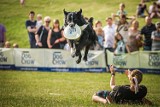 Dog Chow Disc Cup 2013 [program]. Latające krążki i psie sztuczki