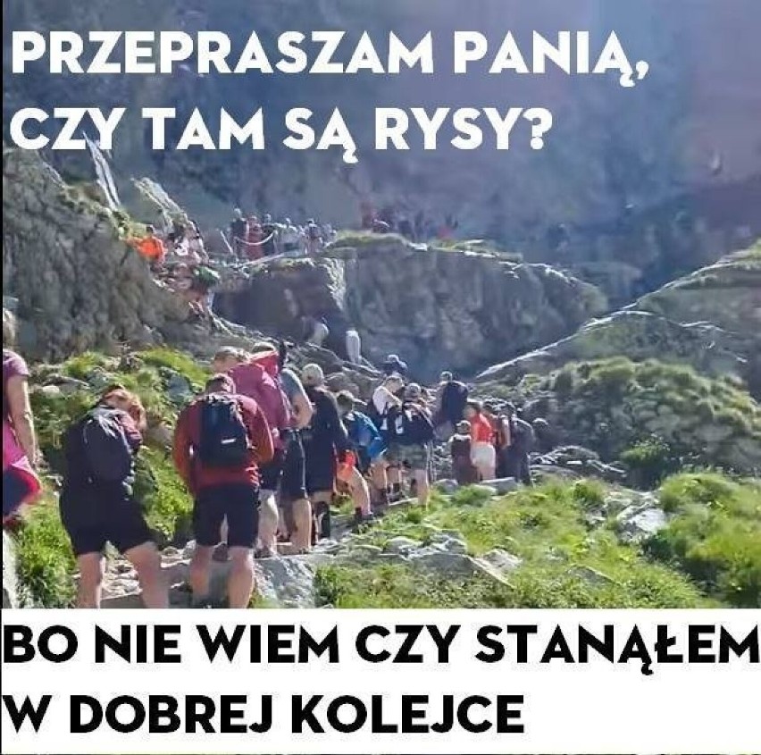 Janusz jedzie na wakacje w góry - czyli tłumy na szlakach, wpadki turystów, oczekiwania... Zobacz te MEMY