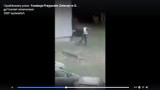 Gniezno: mężczyzna znęcał się nad psem. Interweniowała policja [FILM]