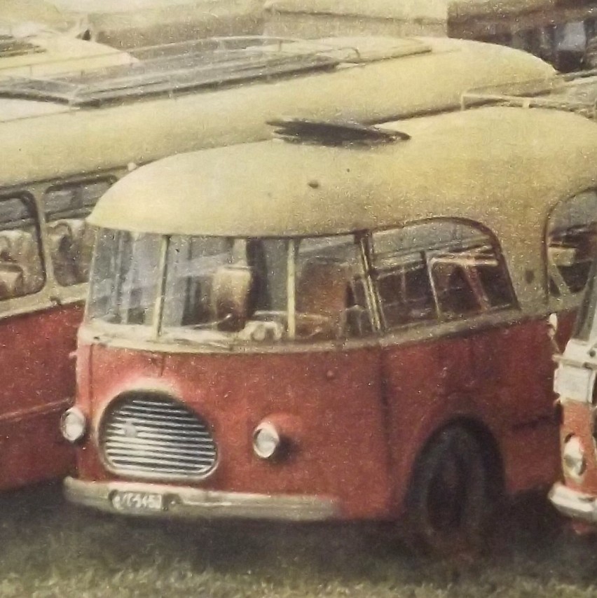 Koszalińskie autobusy Bałtyk przypominały popularne Jelcze.