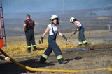 Wielki pożar w okolicach Grochowic. Strażacy ratowali sąsiednie pola [ZDJĘCIA]