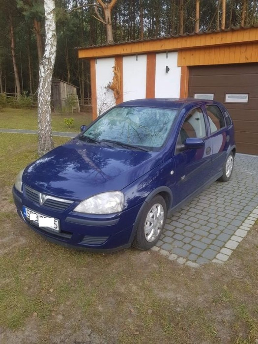 Marka Opel
Model Corsa
Rok produkcji 2004
Poj. silnika 1 200...