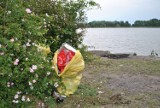 Wyjątkowy krajobraz znad Jeziora Berzyńskiego psują porozrzucane śmieci [GALERIA]