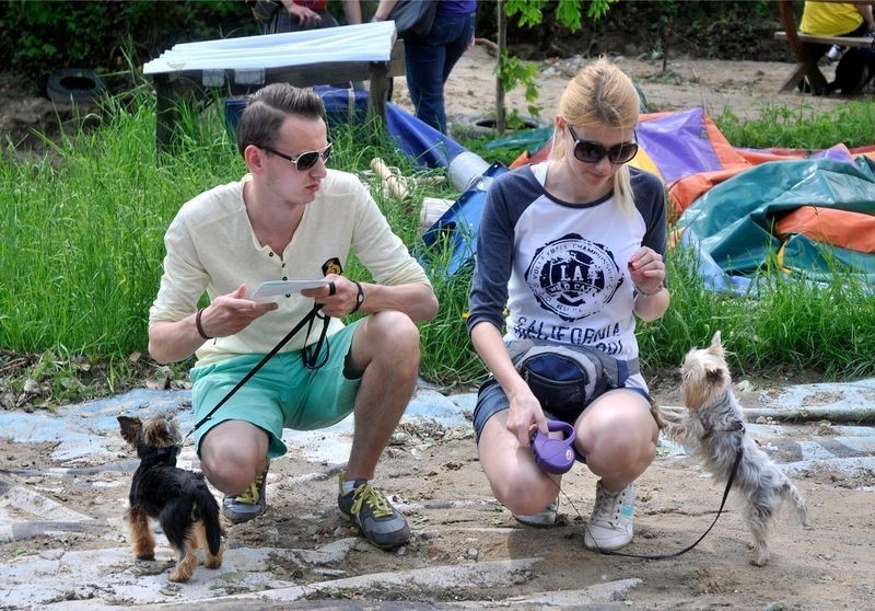 Psy opanowały gdyński Kolibki Adventure Park [ZDJĘCIA]