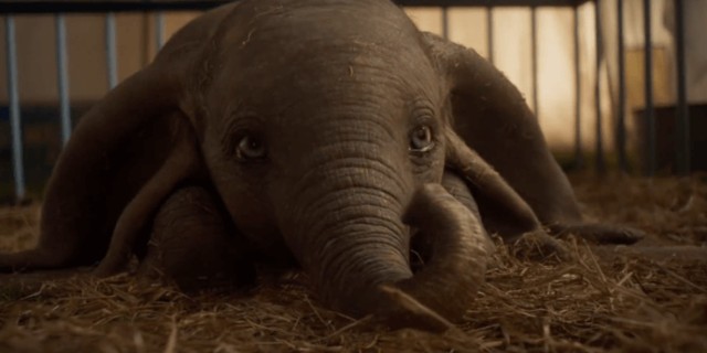 Przygody słonia Dumbo są tematem filmu