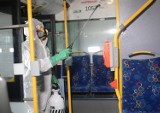 Koronawirus w Radomiu? Autobusy miejskie są na bieżąco dokładnie sprzątane i dezynfekowane