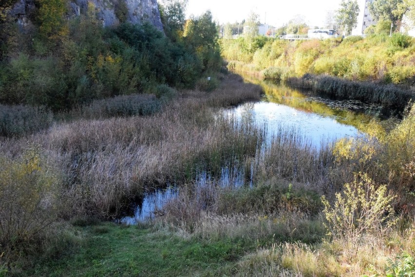 Miejsce pod pomost dla kajaków