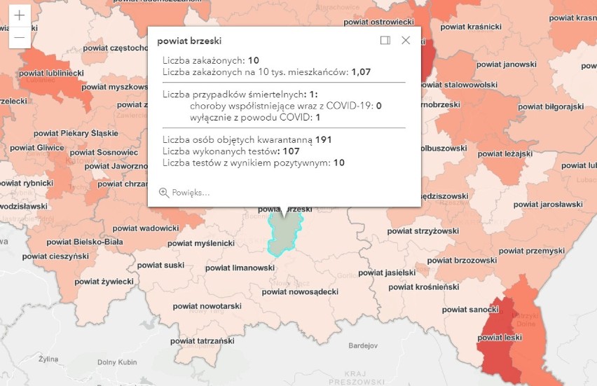 Koronawirus. Dane na temat zakażeń w Tarnowie oraz powiatach: tarnowskim, dąbrowskim, brzeskim i bocheńskim [AKTUALIZACJA 21.01.2021]