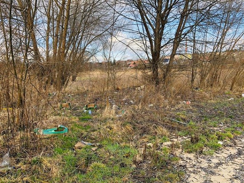Śmieci spod Biedronki w Świebodzinie zostały uprzątnięte przez pracowników marketu