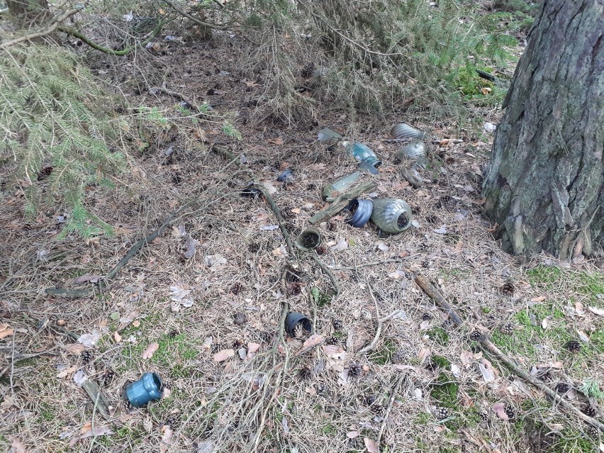 Śmieci w lesie w Konradowie