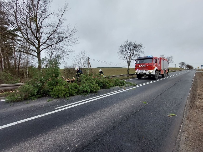 Przybywa interwencji strażaków w powiecie obornickim. Powalone drzewa, zerwany dach