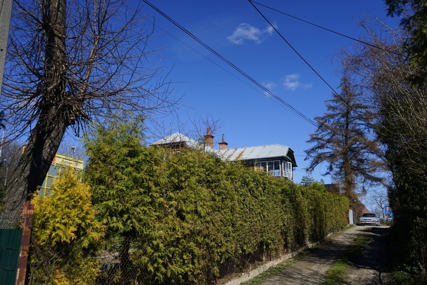 W Rzeszowie jest mnóstwo starych, drewnianych domów. Zobaczcie jak wyglądają. Nie trzeba jechać poza Rzeszów, żeby zobaczyć skansen [FOTO]