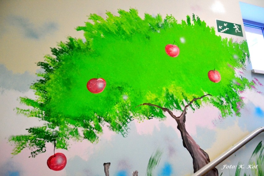 Artysta Maciej Kot maluje w szpitalu we Włocławku [zdjęcia]