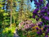 Najpiękniejsze ogrody botaniczne i parki na Dolnym Śląsku. Idealne na majówkę!