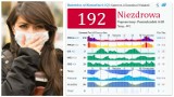 Smog w woj. śląskim - sprawdź jakość powietrza w swoim mieście [30 stycznia 2017]