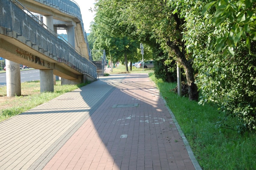 W miastach pojawia się coraz więcej ścieżek rowerowych.