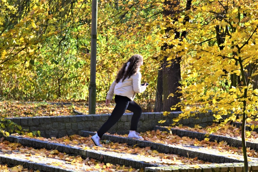 Złota polska jesień w Parku Staromiejskim w Sieradzu. Jest klimatycznie. Zobacz ZDJĘCIA