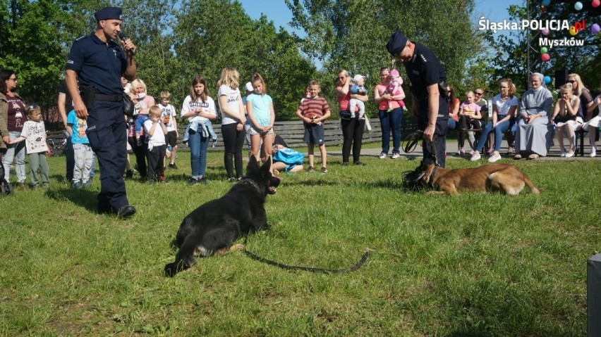 Myszków, Częstochowa. Policjanci z psami na pikniku rodzinnym ZDJĘCIA