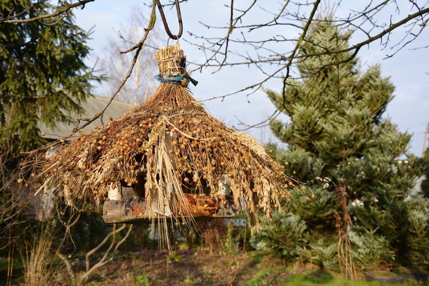 Najlepszym naturalnym karmnikiem dla ptaków są drzewa i...