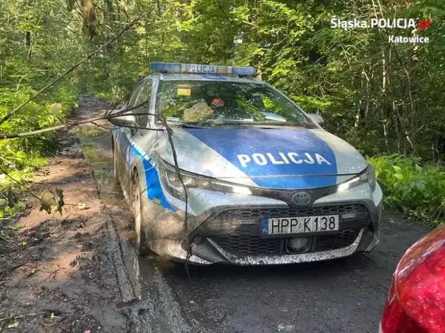 Nietrzeźwy kierowca próbował uciec przed policją - mundurowi z Katowic zatrzymali go w lesie w Mysłowicach