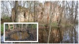 Tajemnicze źródełko, stary park oraz ruiny folwarku. To wszystko w Grodziszczu niedaleko Głogowa