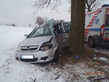 Groźny wypadek w Międzylesiu. Śmigłowiec przetransportował 57-letnią kobietę do szpitala [ZDJĘCIA]