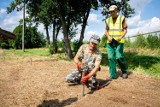 Bełchatów: Kolejne tereny zielone powstają w  mieście [ZDJĘCIA]