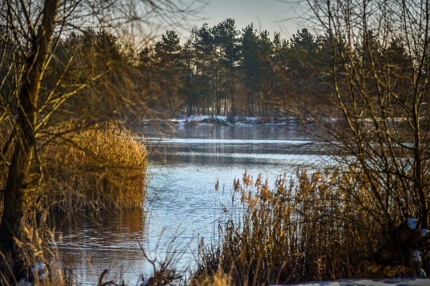 Zima w Lesznie. Zobaczcie zdjęcia zakątków miasta przykrytych przez śnieg