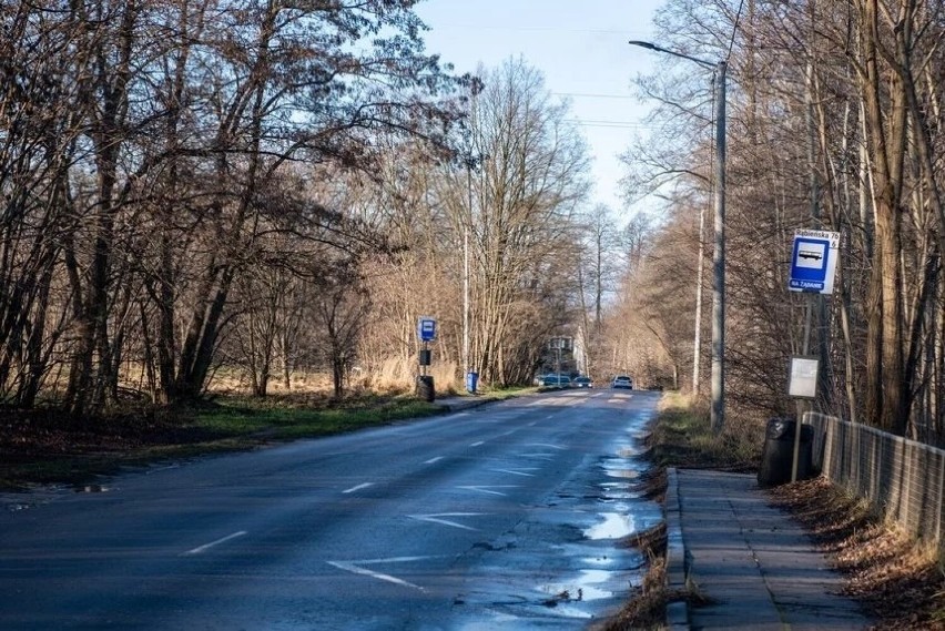 Łódź: Przedłużą Kaczeńcową, powstanie też 6 nowych rond! Drogowa rewolucja na Teofilowie i Złotnie