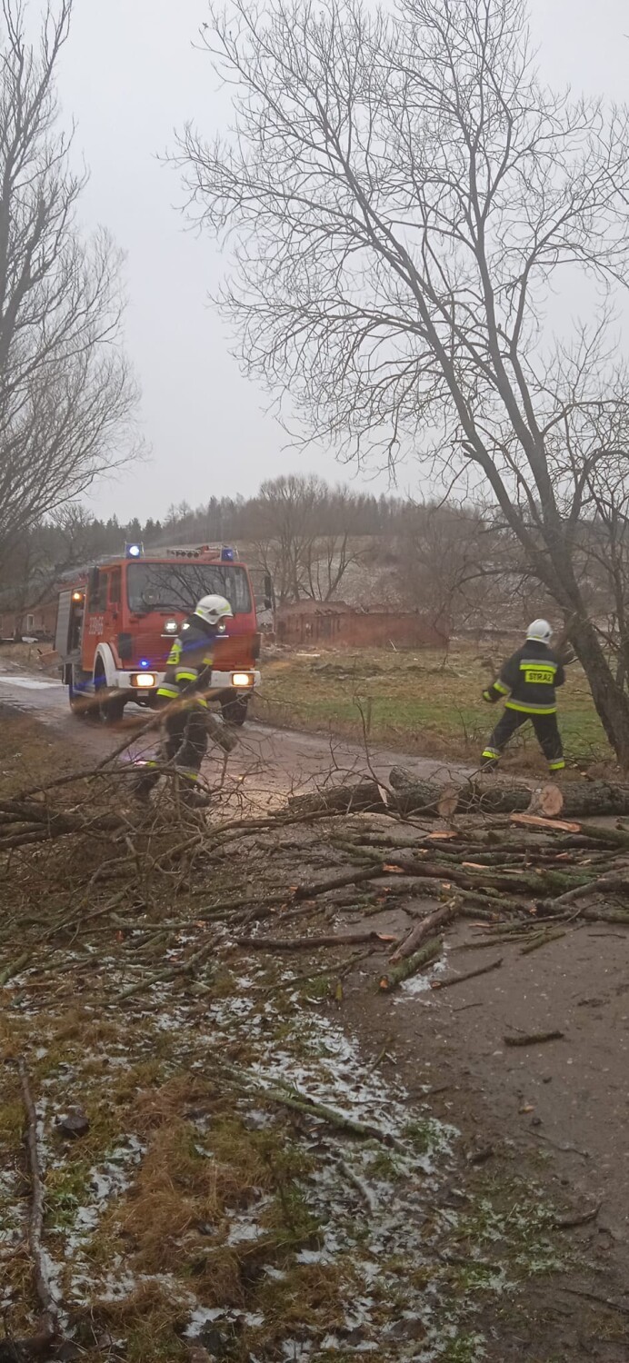 Wichury w powiecie gdańskim. Połamane drzewa, wyrwany dach i awarie w dostawie prądu